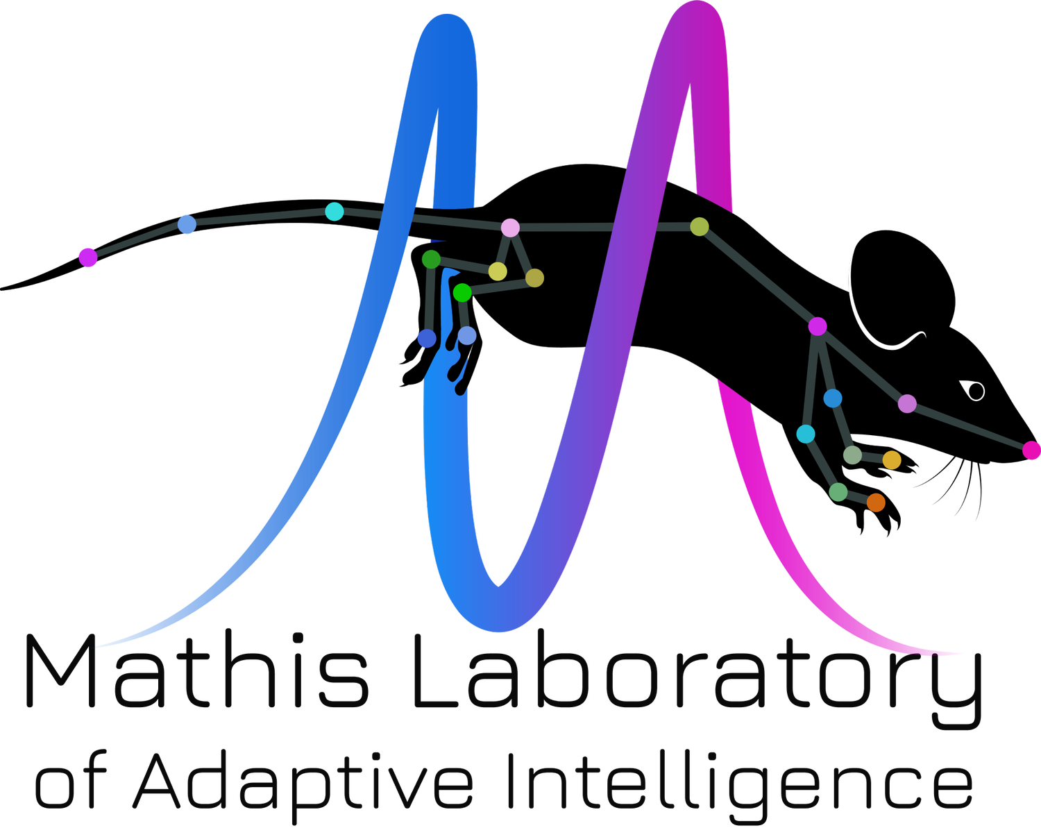 GitHub - AdaptiveMotorControlLab/WorkspaceTemplate
