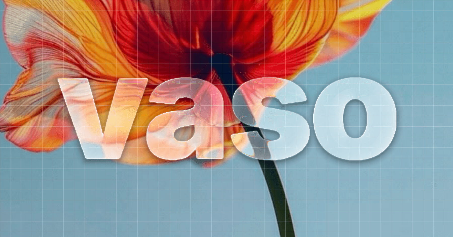 vaso