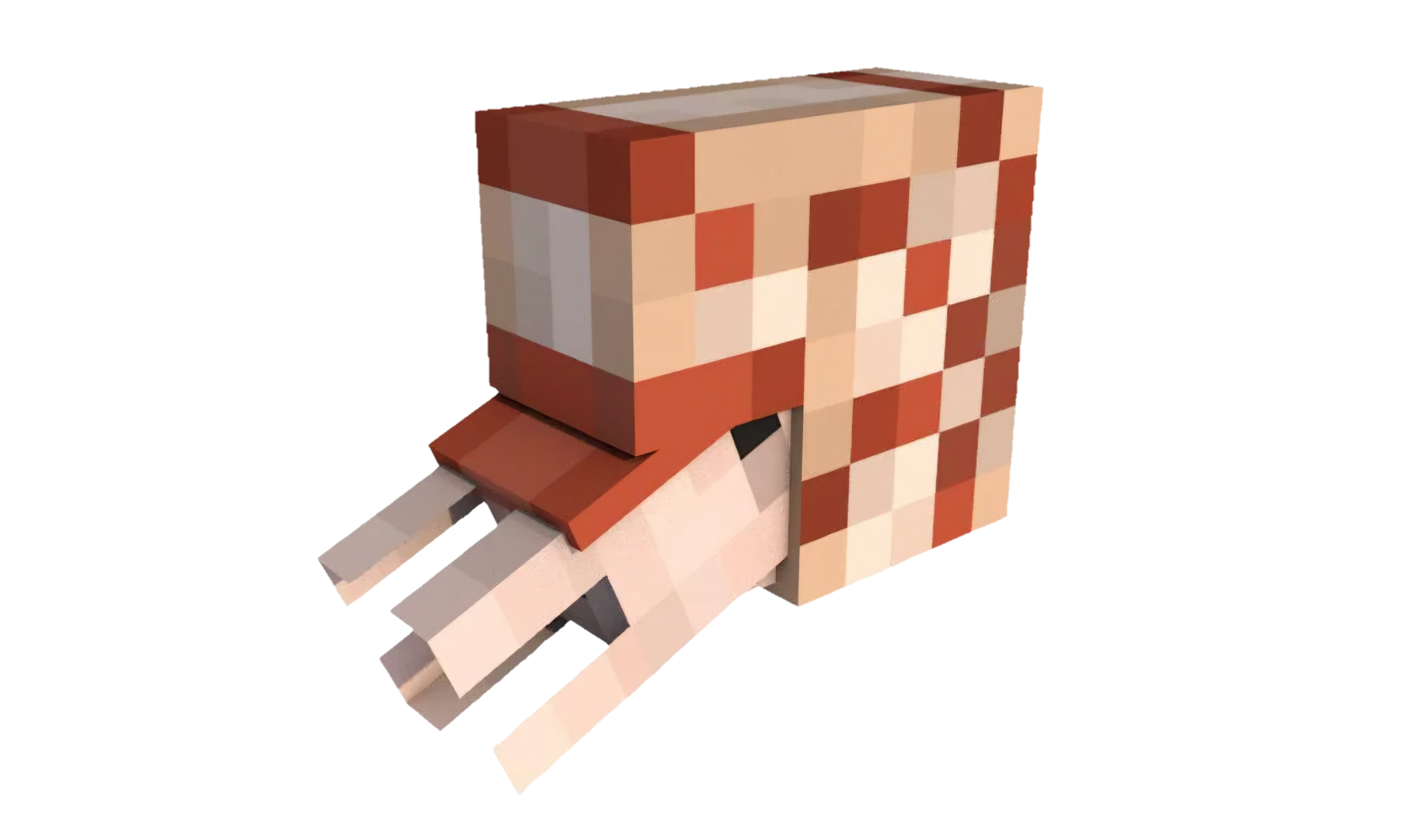 Nautilus