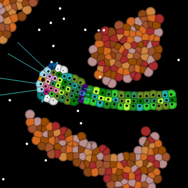 GitHub - dendor0101/Genomeia: Biological simulation · GitHub