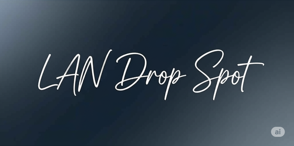 LAN-DropSpot