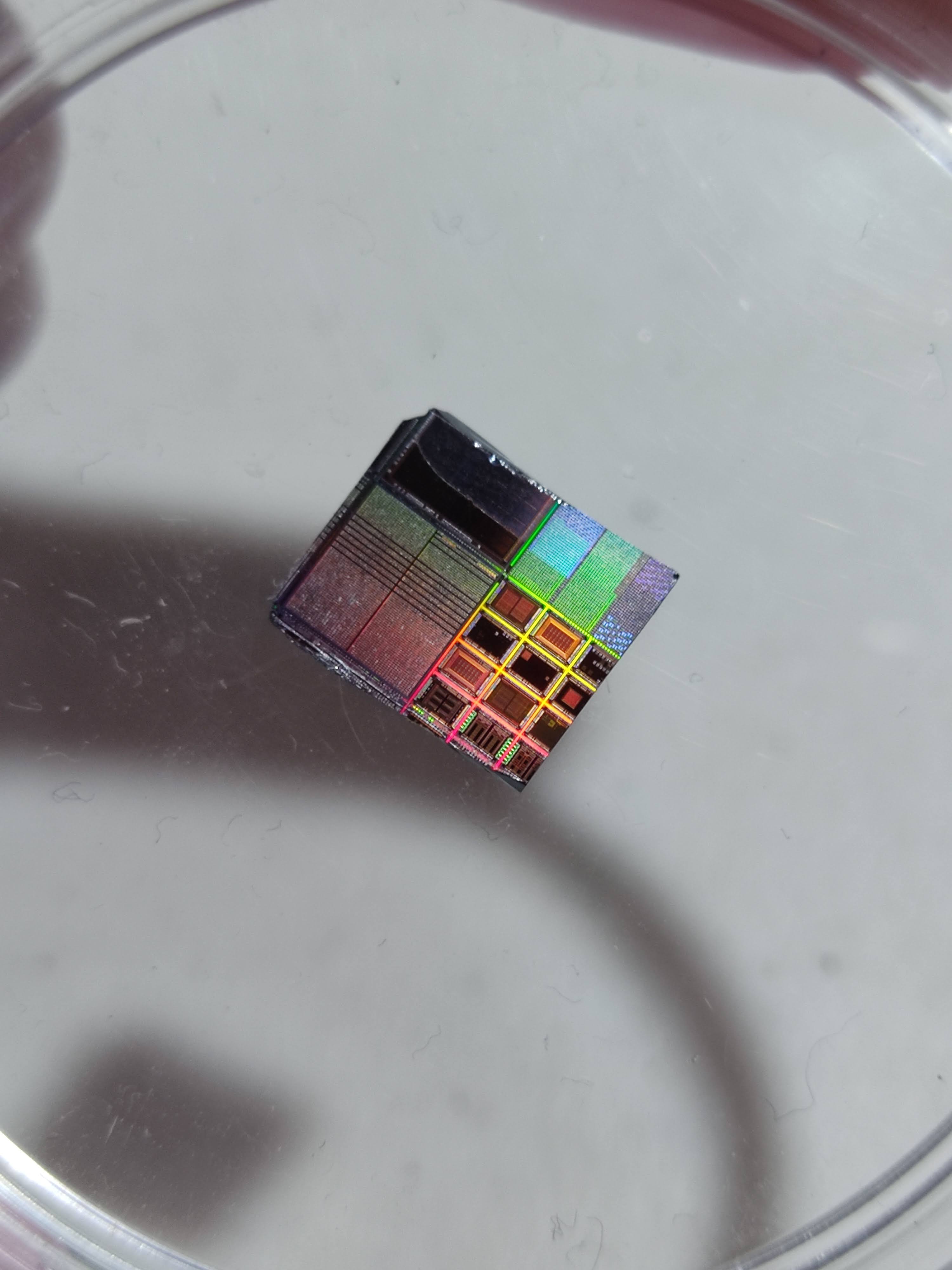 IEEE-Summer-School-on-Semiconductor-Devices-Integrated-Circuits-2025