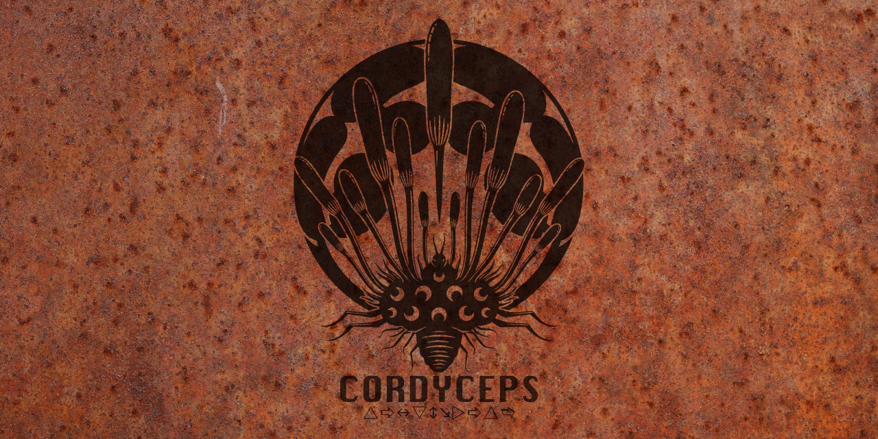 cordyceps