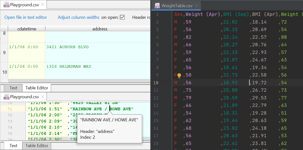 SeeSharpSoft/intellij-csv-validator