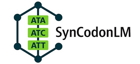 SynCodonLM