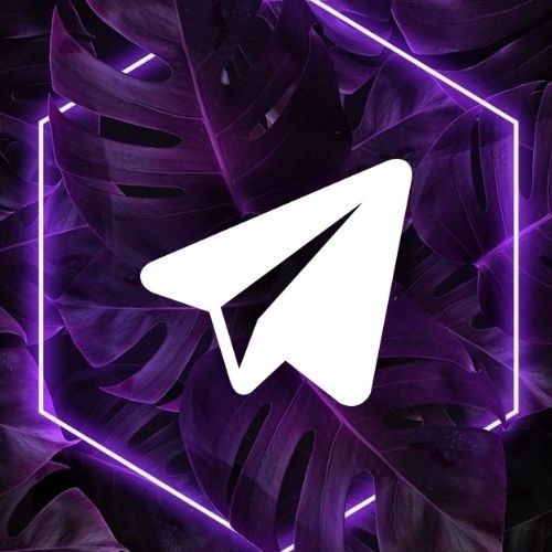 Telegram-Users-Adding-New