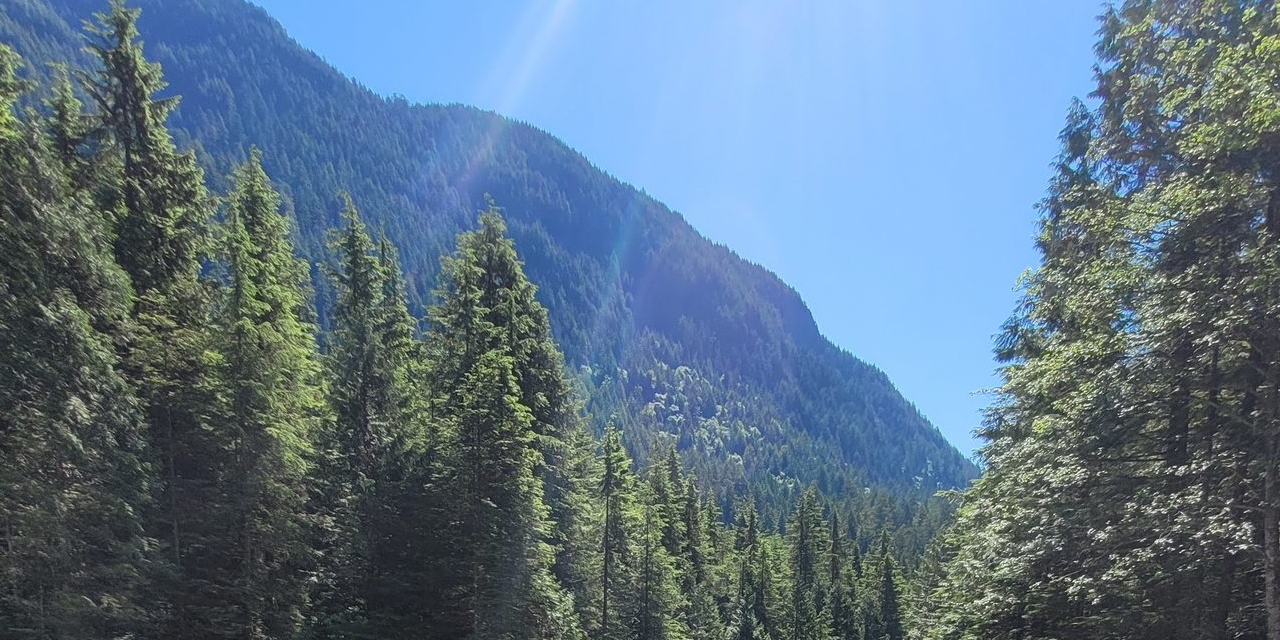 creamy-discord-ha-webhooks