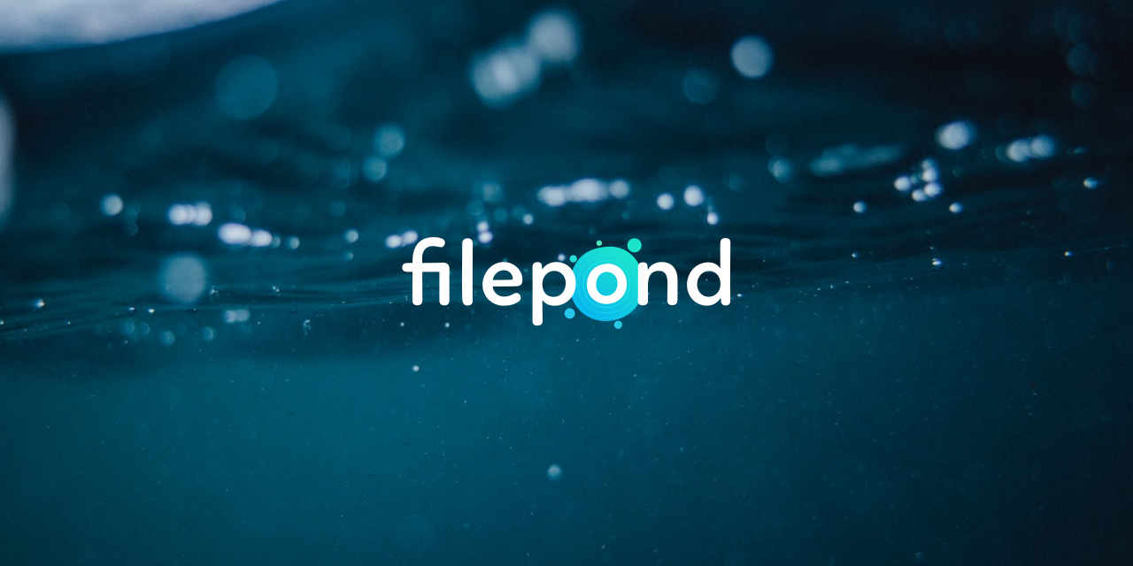  filepond