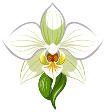 orchidarium