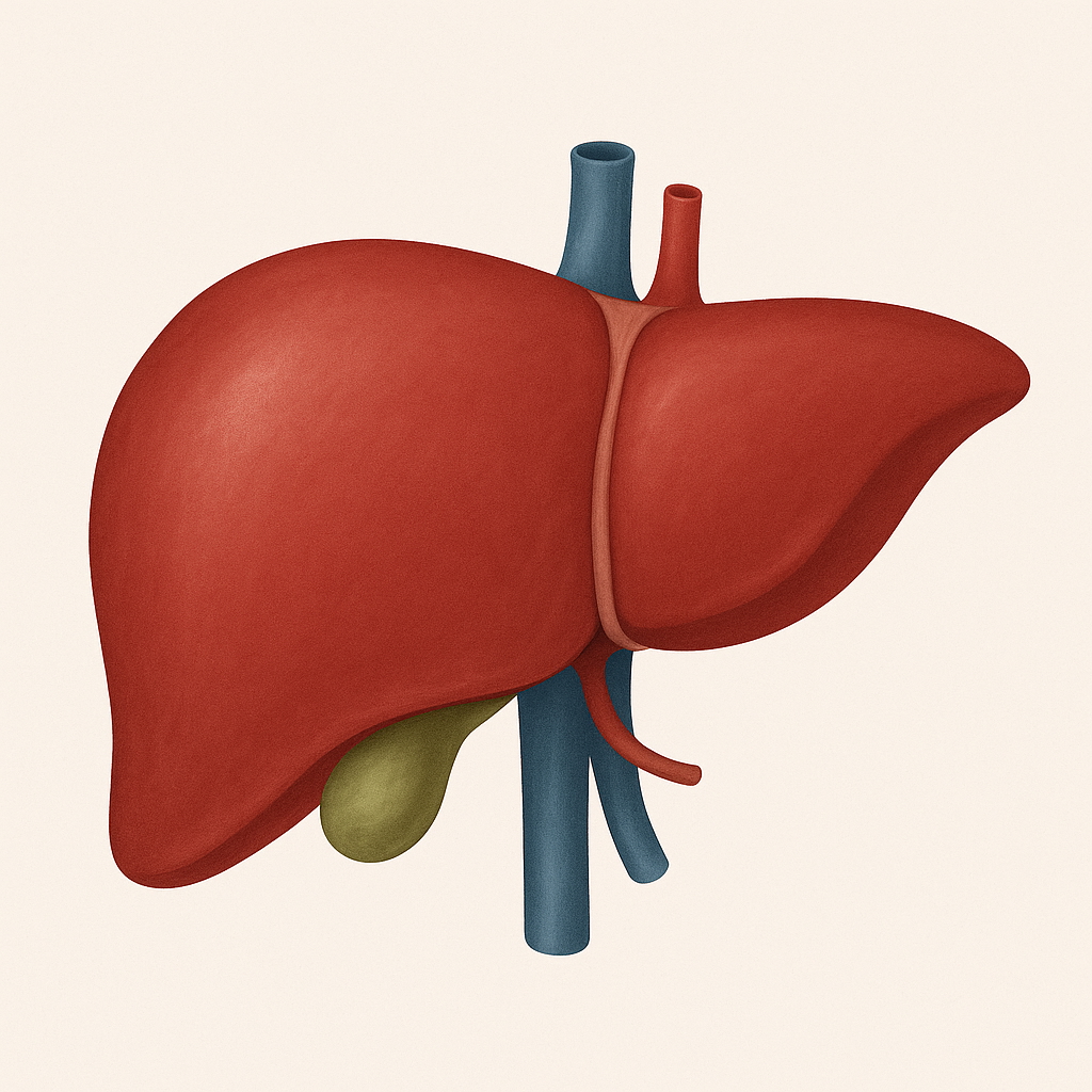 SNH_AIH_spatial_transcriptome