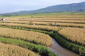 RUD_BANYUMAS
