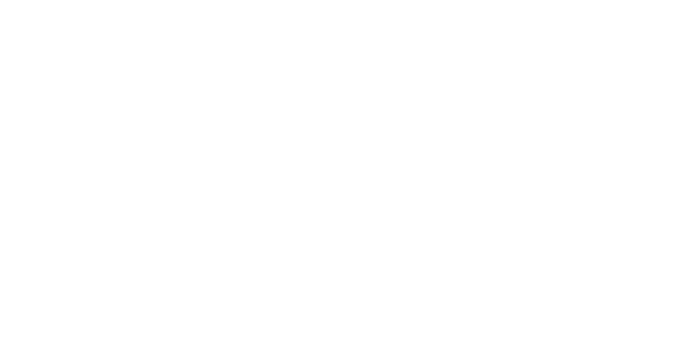 bossflow