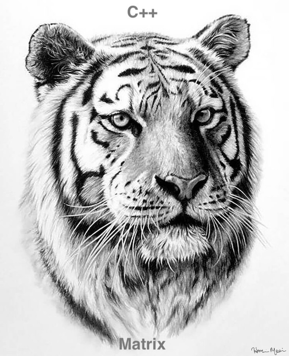 hosseinmoein/Tiger