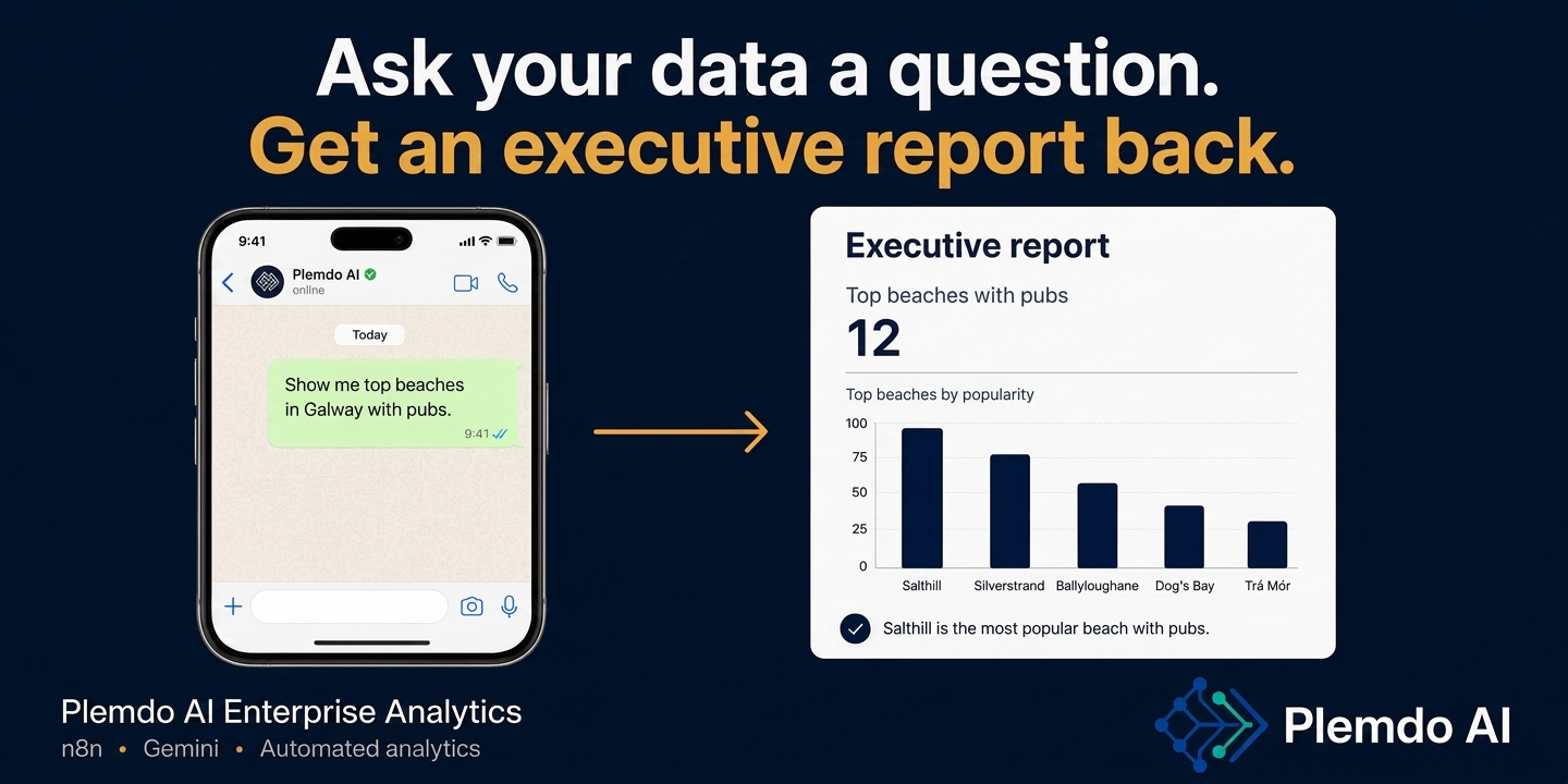 Plemdo-AI-Enterprise-Analytics