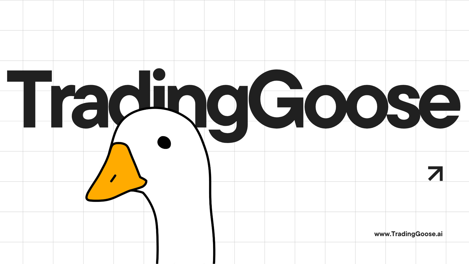 TradingGoose-Studio