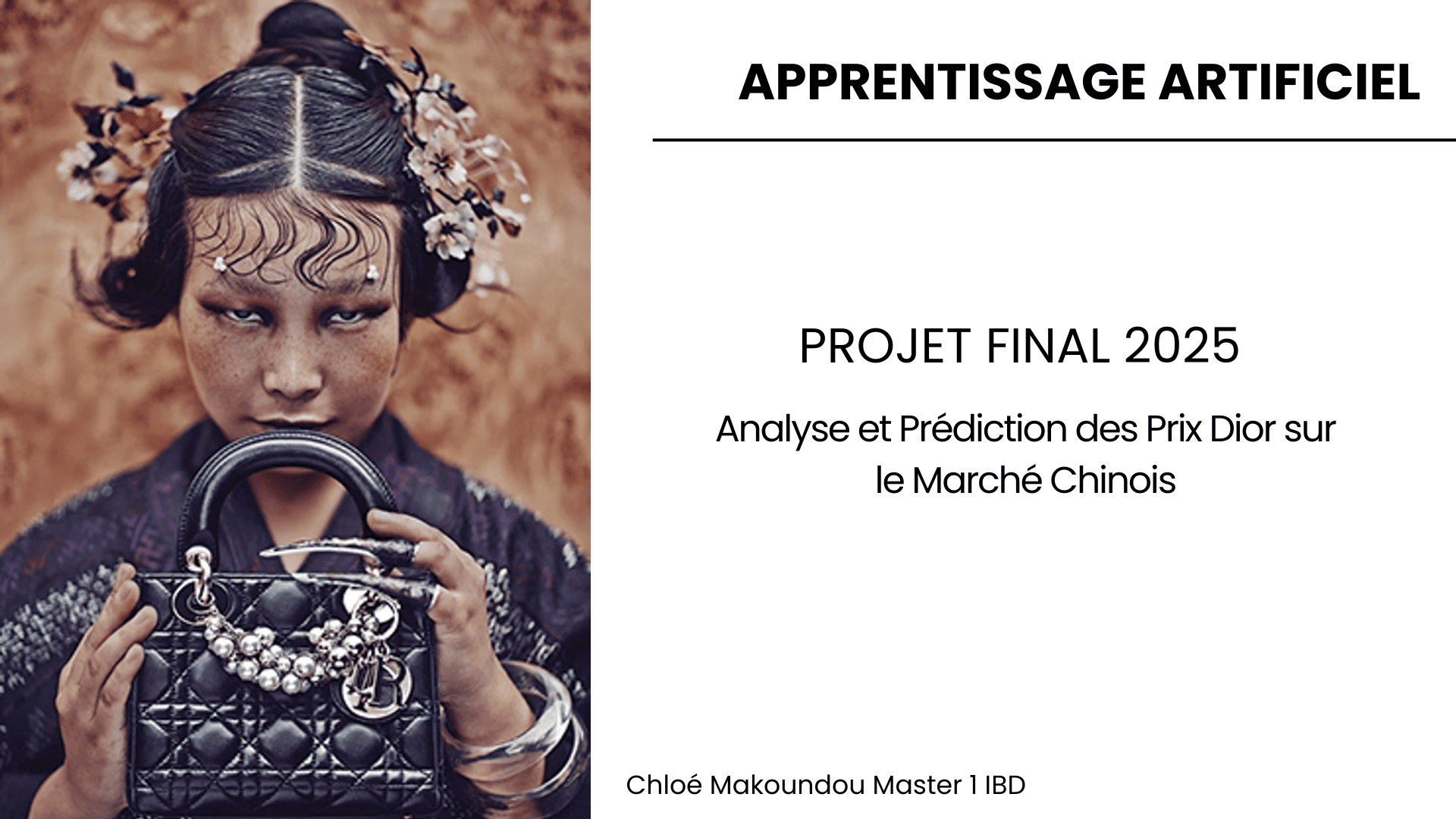 Projet-Apprentissage-Artificiel