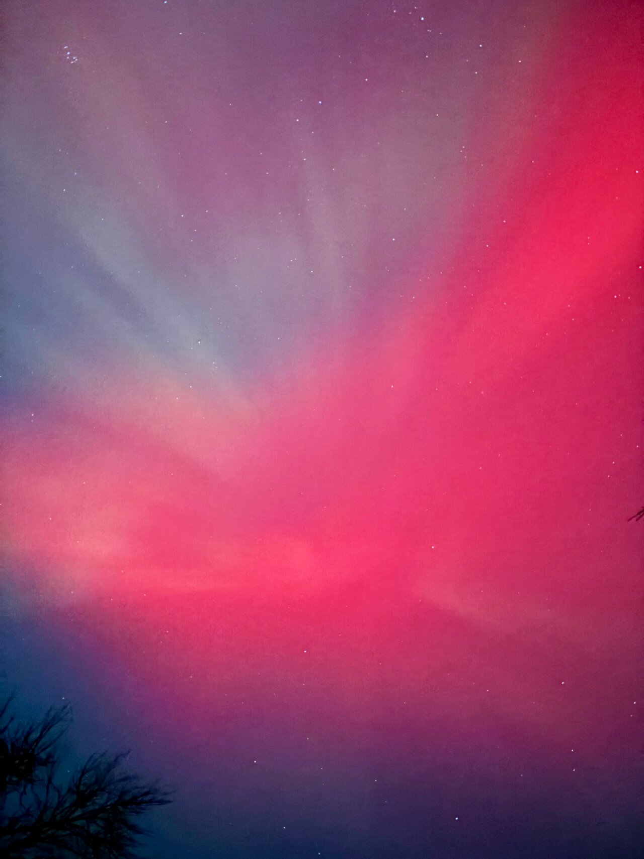 Unified-Conscious-Field