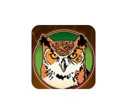 RegexBuddy-Activated