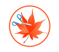 Easy-Cut-Studio-Activated