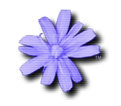 Cloanto-C64-Forever-Activated