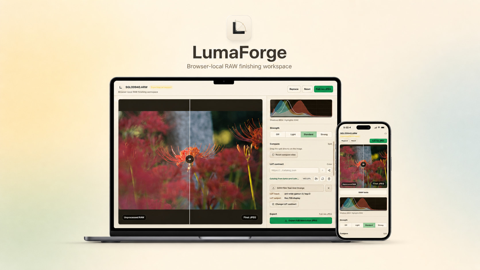 LumaForge
