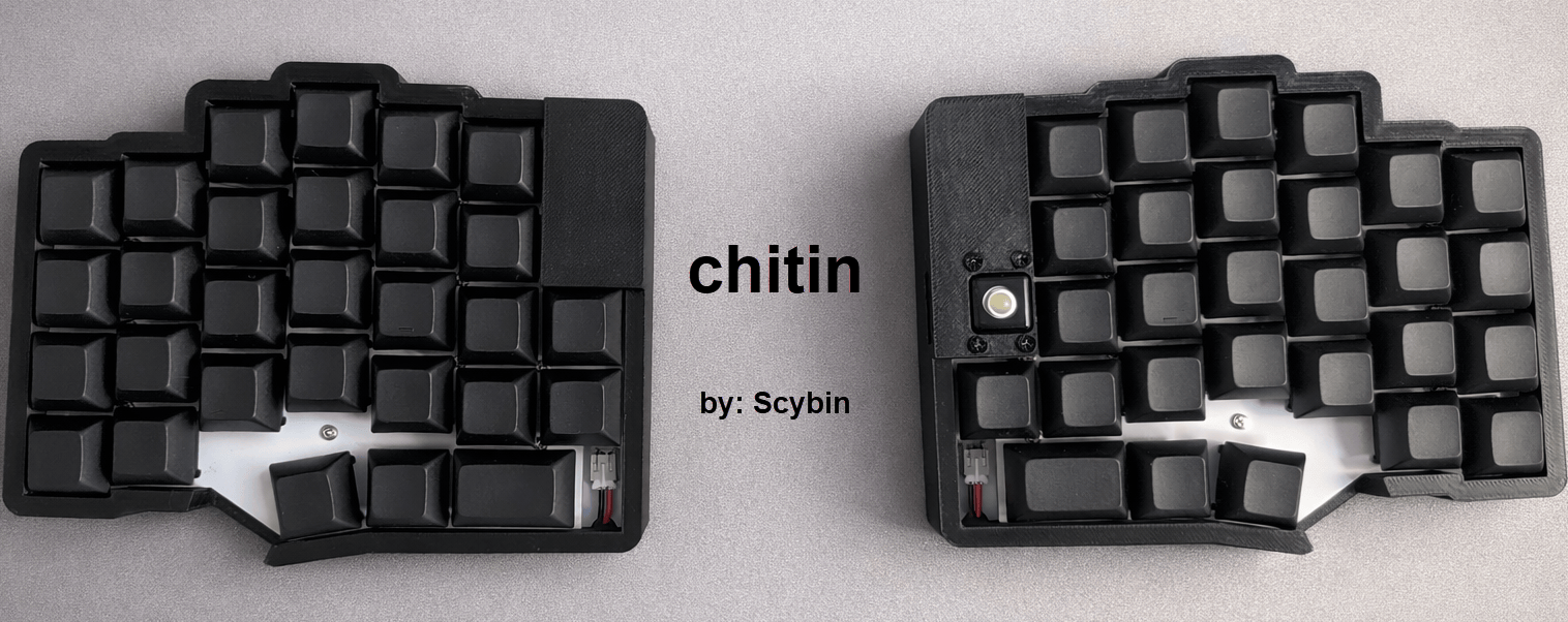 chitin
