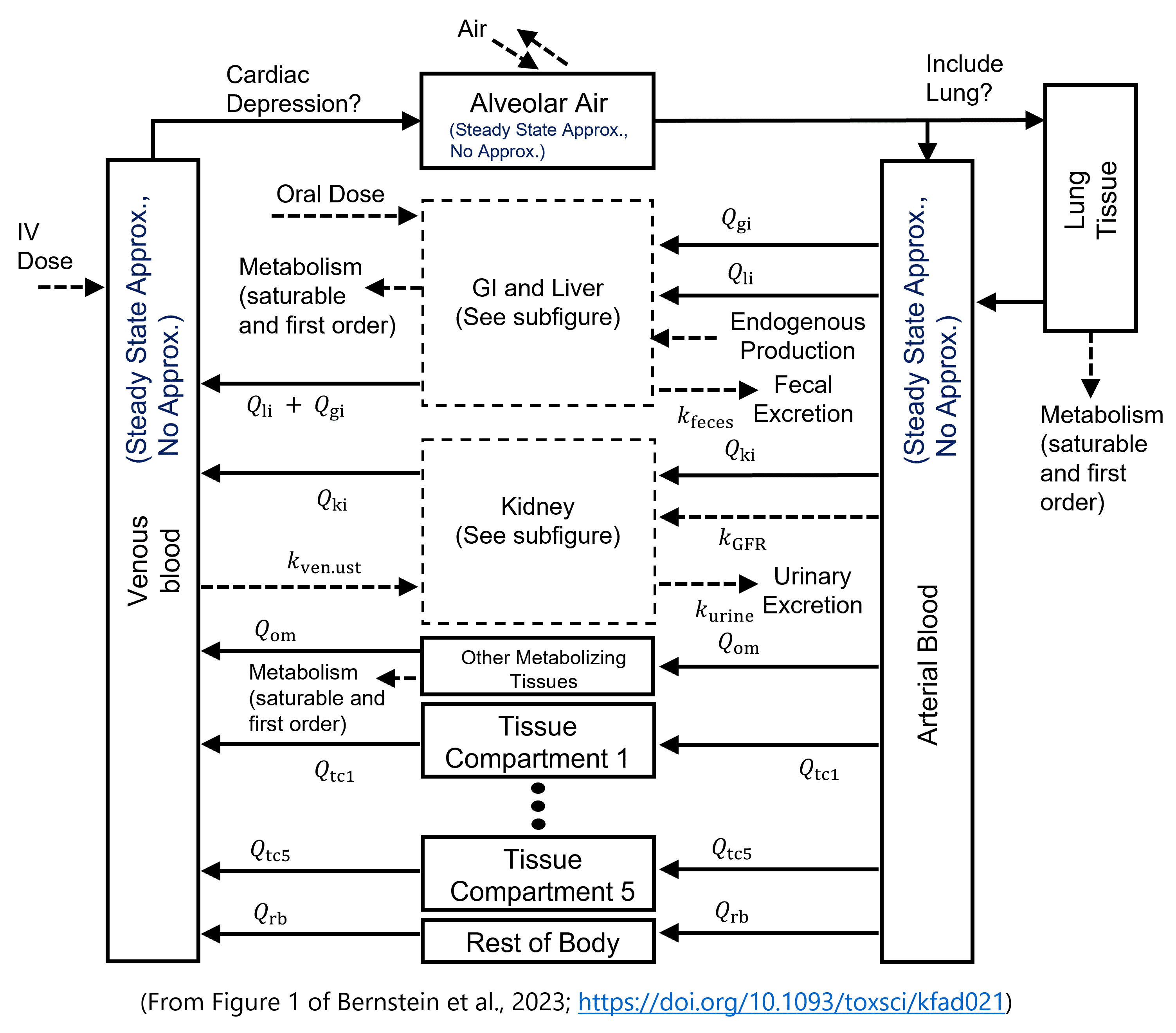 GitHub - schlossman/PBPK_Model_Template_Mod: Version of the PBPK Model ...