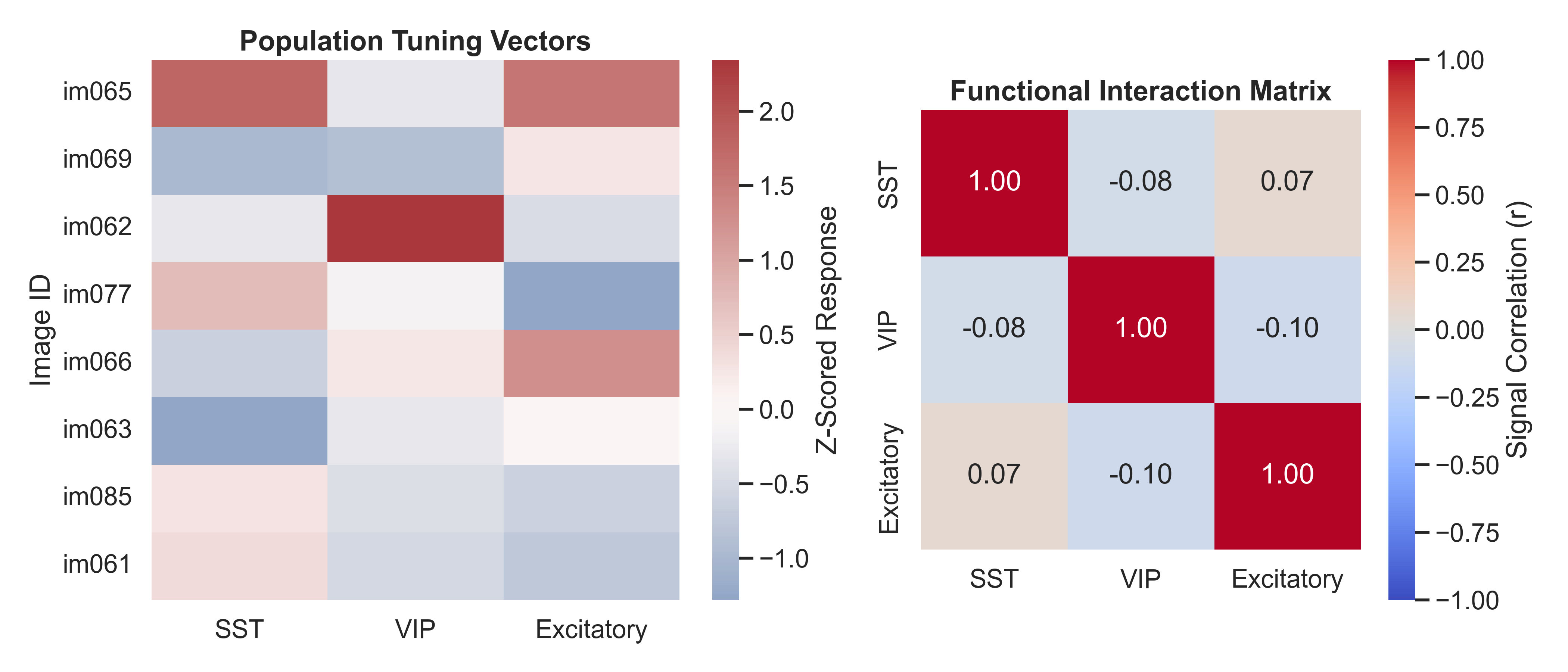 Computational-Neuroscience-Projects