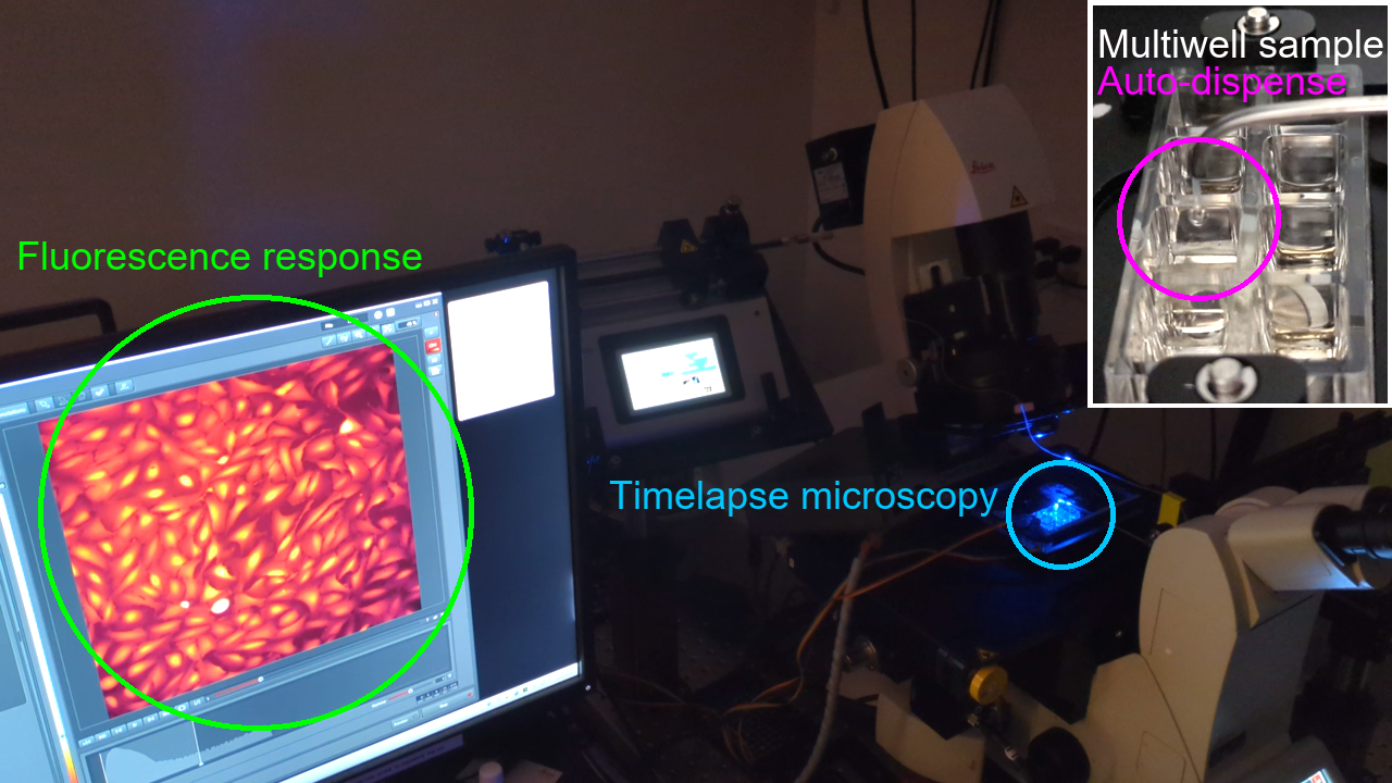 GitHub - amsikking/SALDA_for_timelapse_microscopy: Technical note: A ...