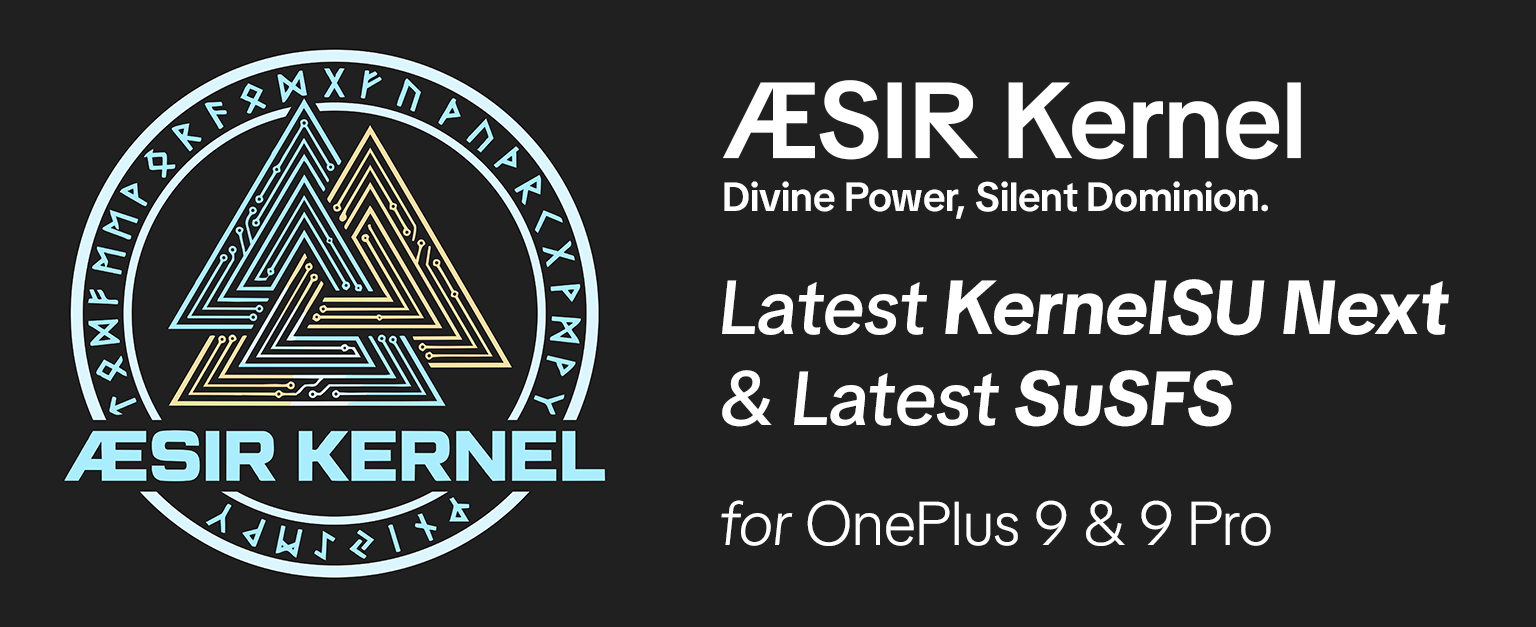 aesir_kernel_oneplus_sm8350