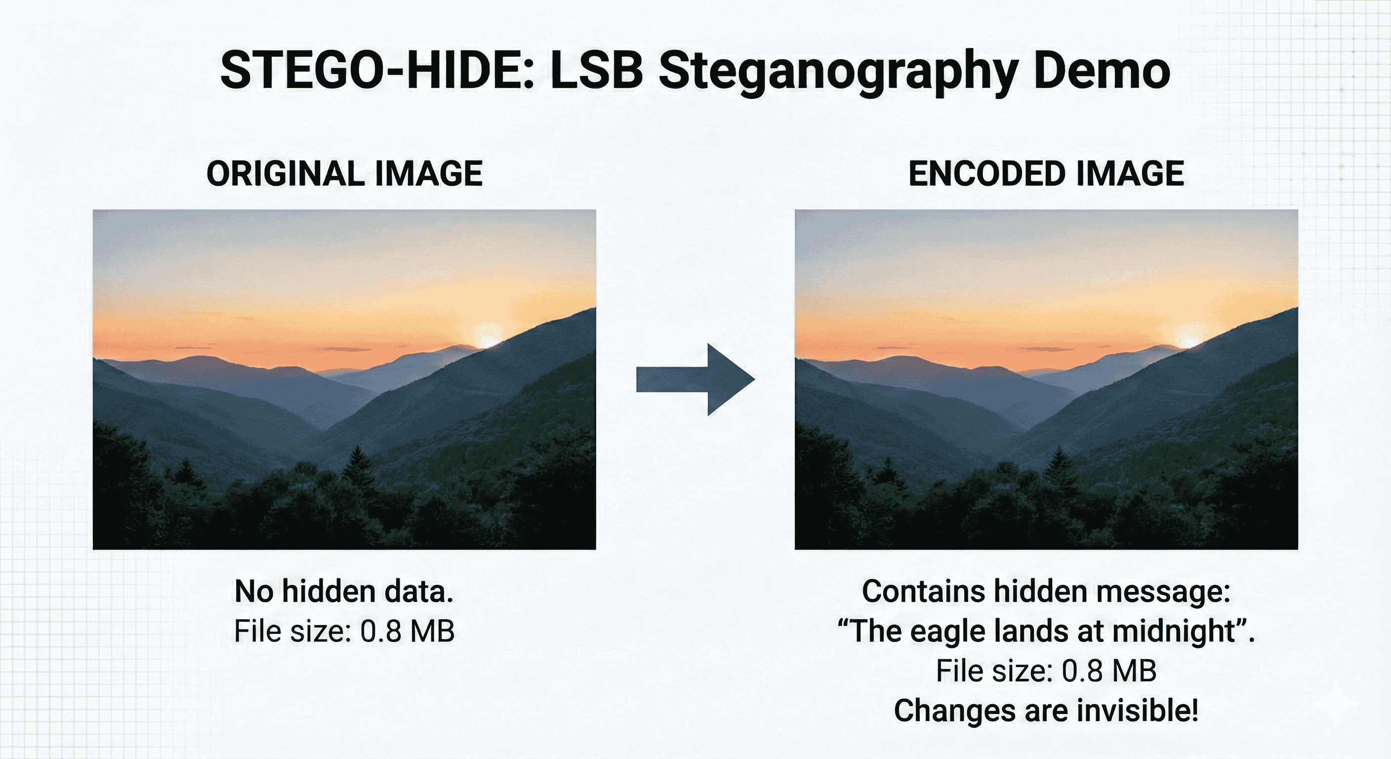 GitHub - tanushriaiyappane/Stego-Hide: A Java-based image steganography ...