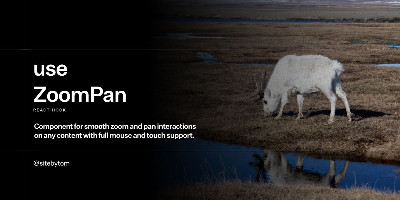 GitHub - sitebytom/use-zoom-pan: A zero-dependency, ultra-lightweight ...
