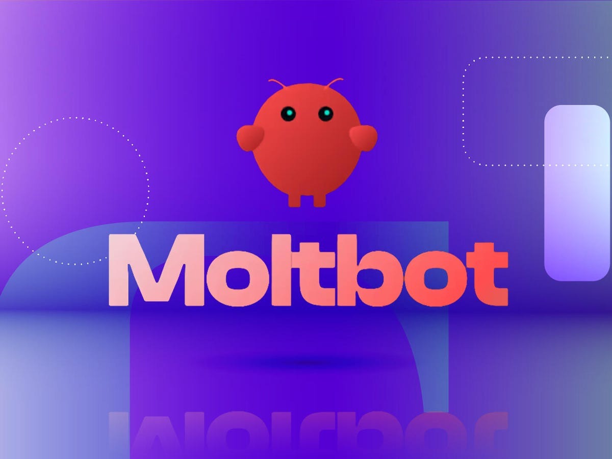 My-Moltbot