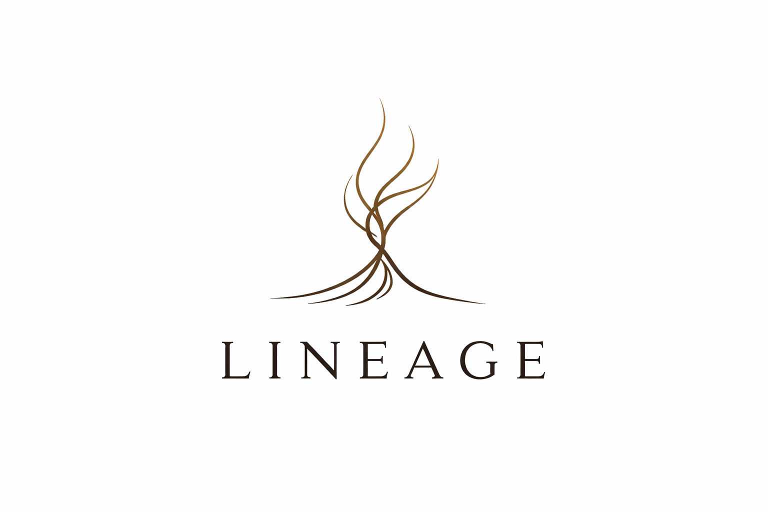 lineage