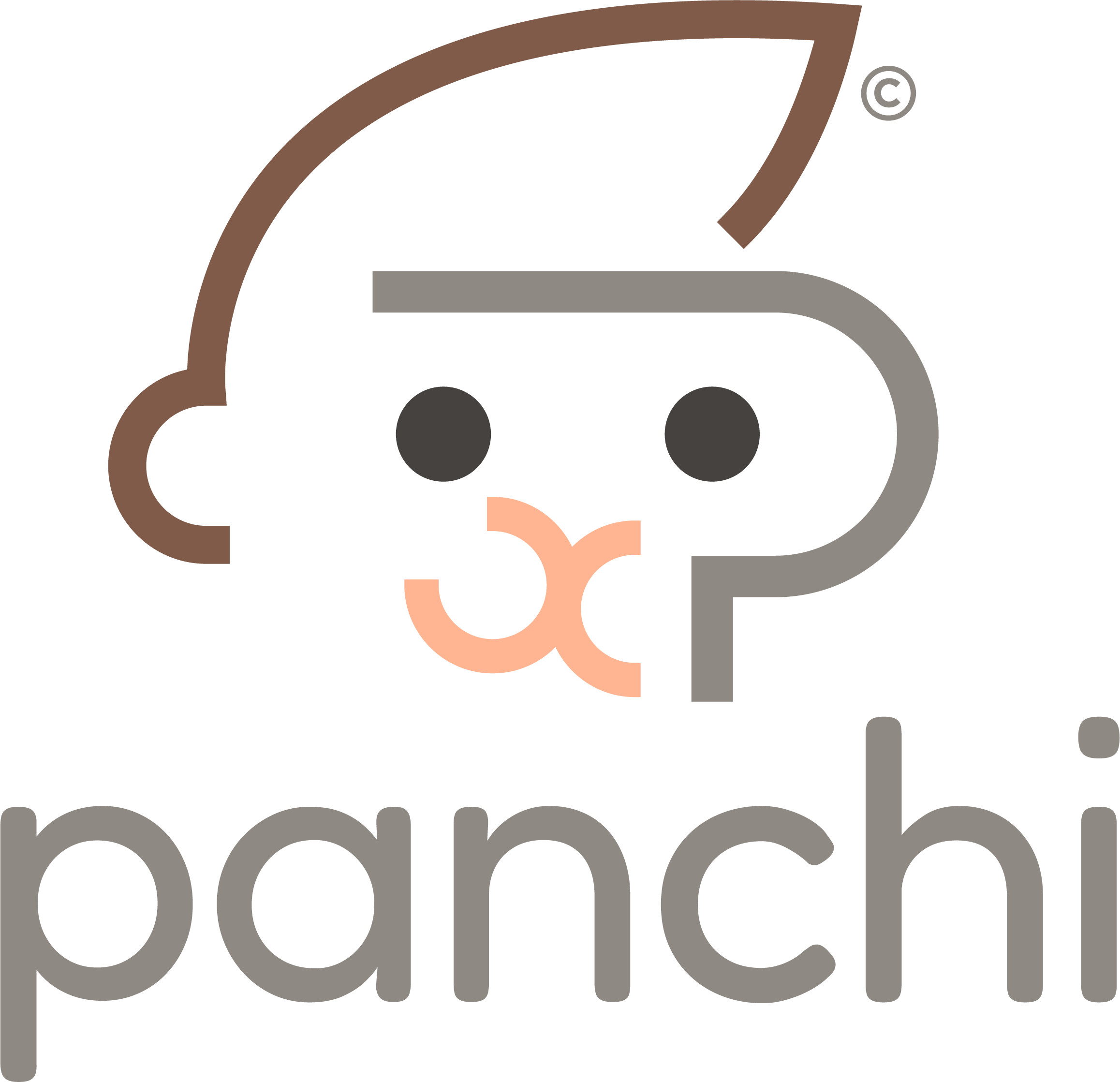 GitHub - Gustavo-Galvao-e-Silva/panchi: Minimal Python-based linear ...