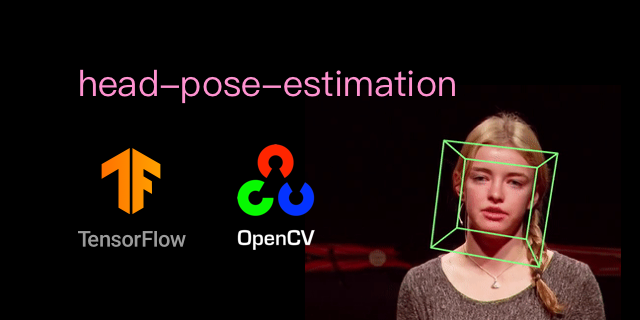 yinguobing/head-pose-estimation