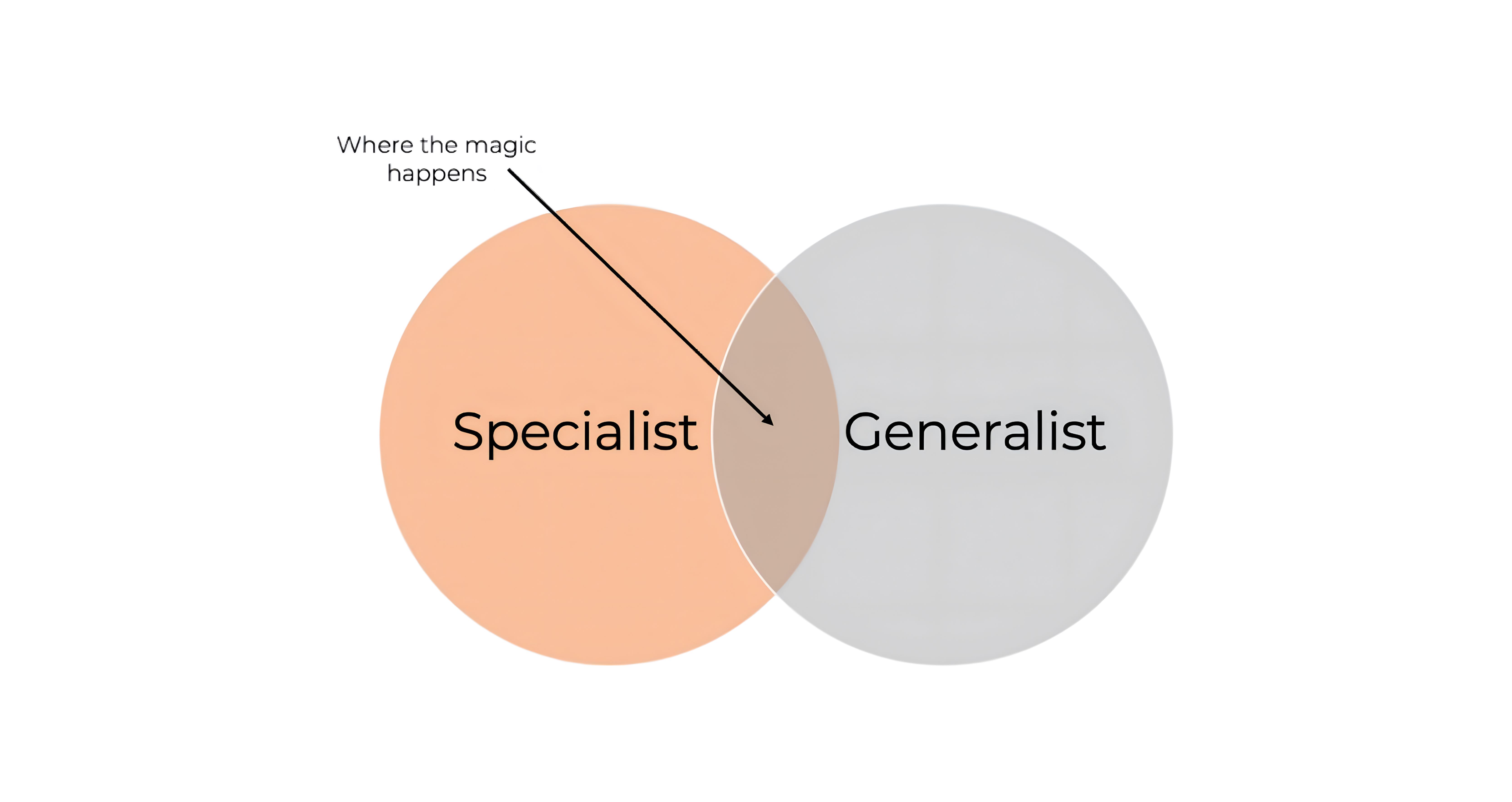 Single_Multi_Organize