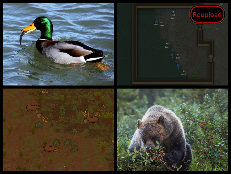 GitHub - emipa606/AnimalsForage: Repository for the Rimworld mod named ...