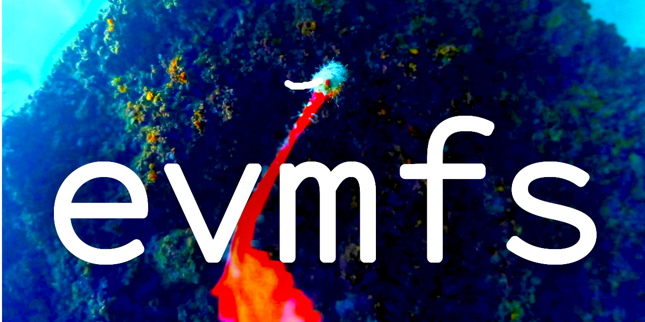 evmfs.js