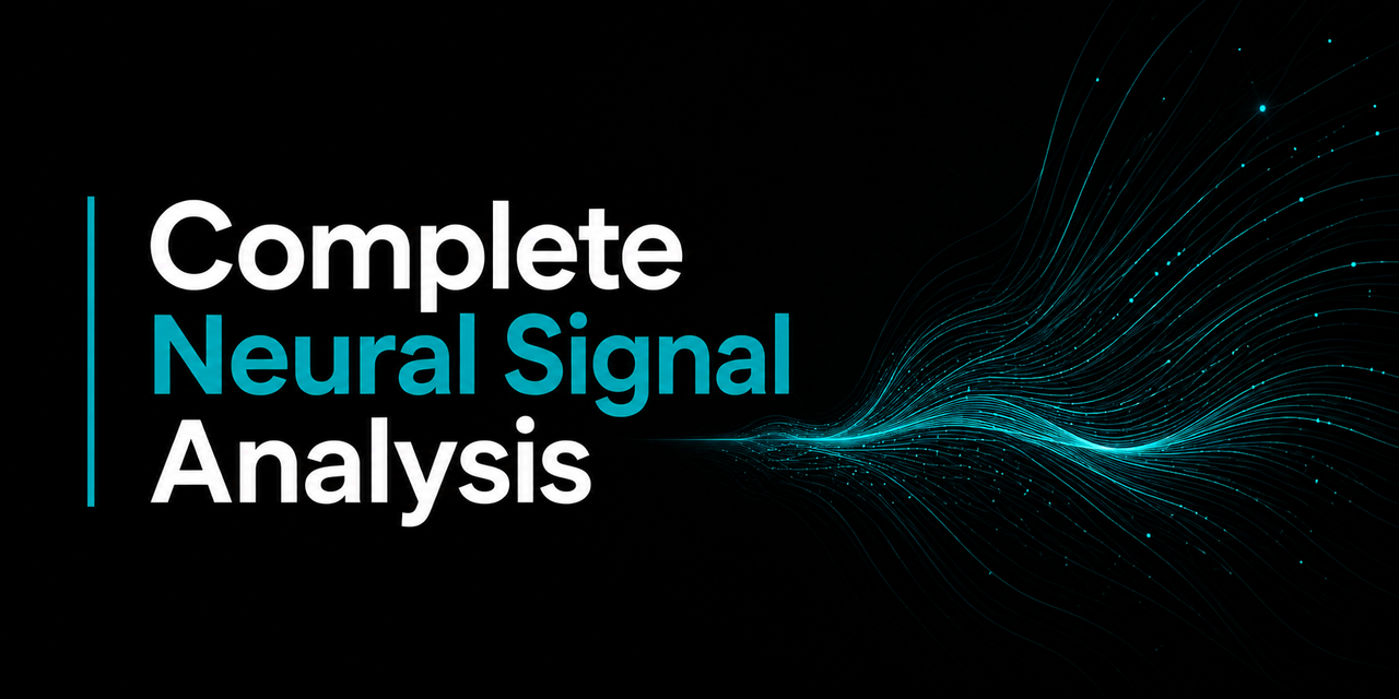 Complete-Neural-Signal-Analysis