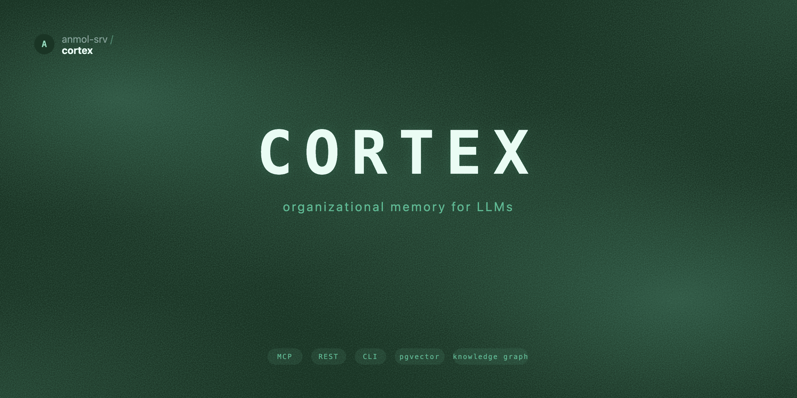 cortex