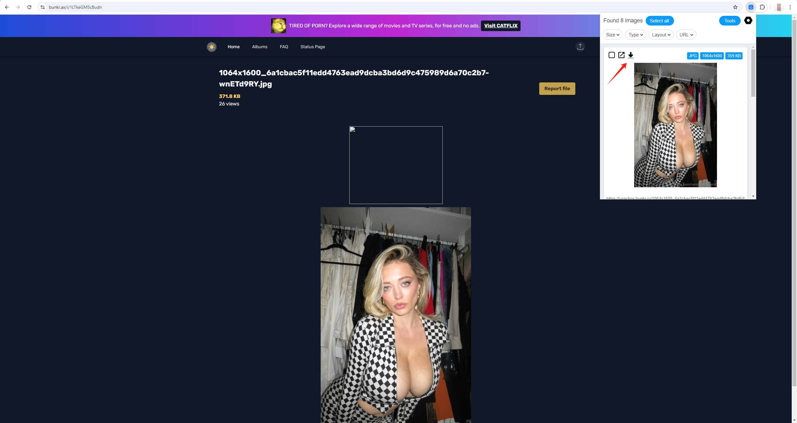 bunkr-downloader-2026