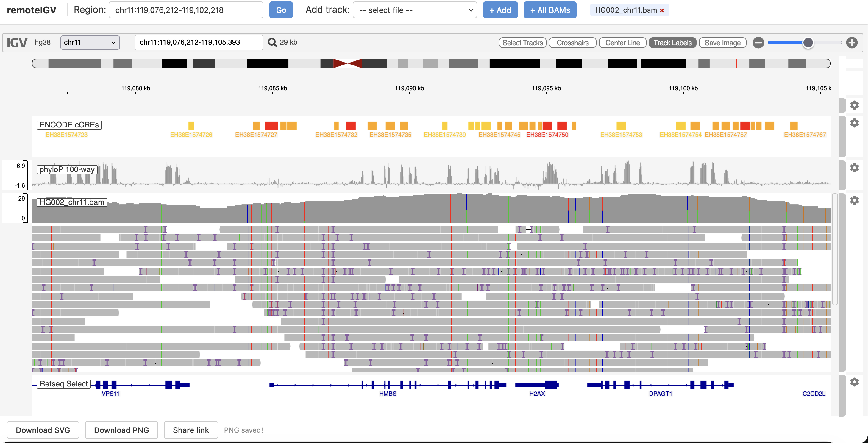 GitHub - ChristopherSNelson/remoteIGV: remoteIGV: smoother IGV ...