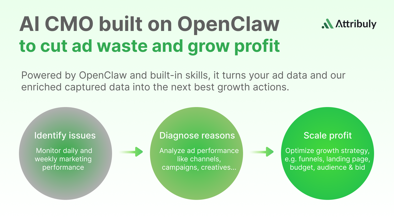 ecommerce-dtc-skills