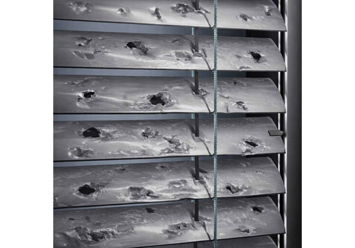 ch.hagelschutz.homey