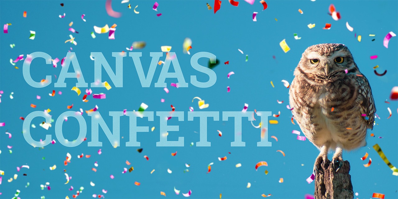 帆布confetti