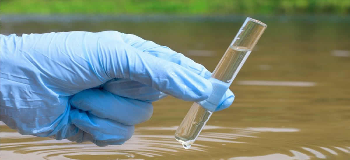 water-potability-predictor