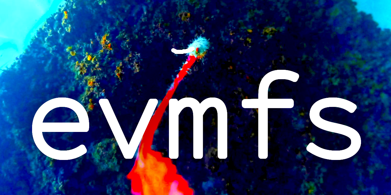 evmfs-contracts