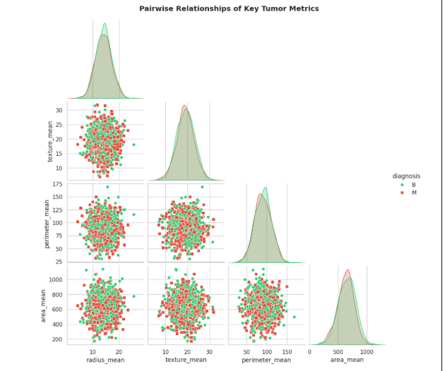 End-to-End-Breast-Cancer-Analysis
