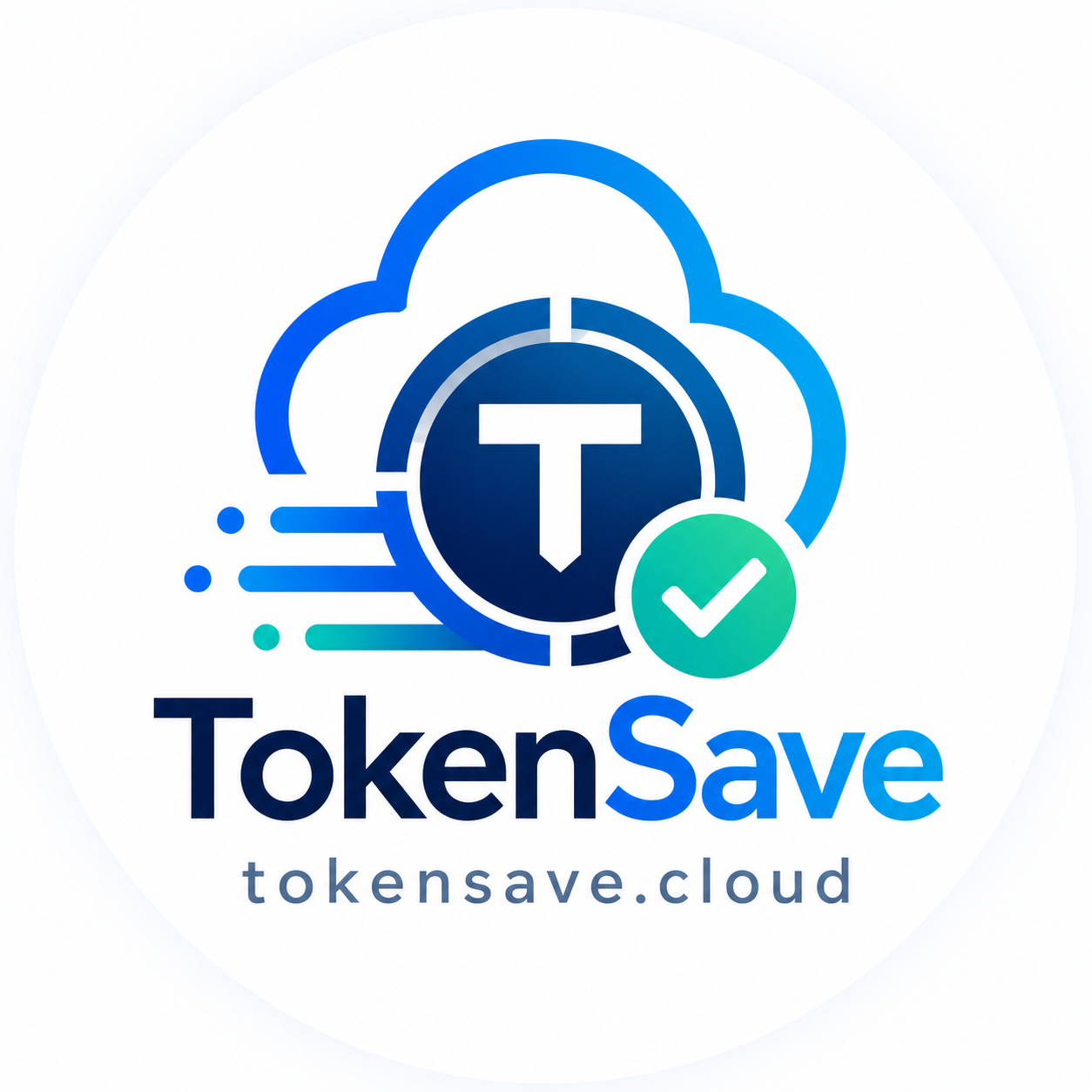 TokenSave